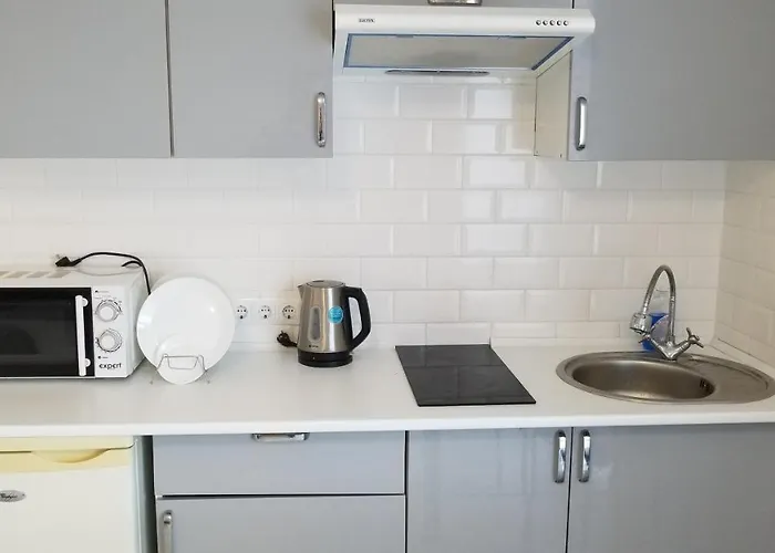 сонячне 公寓 *